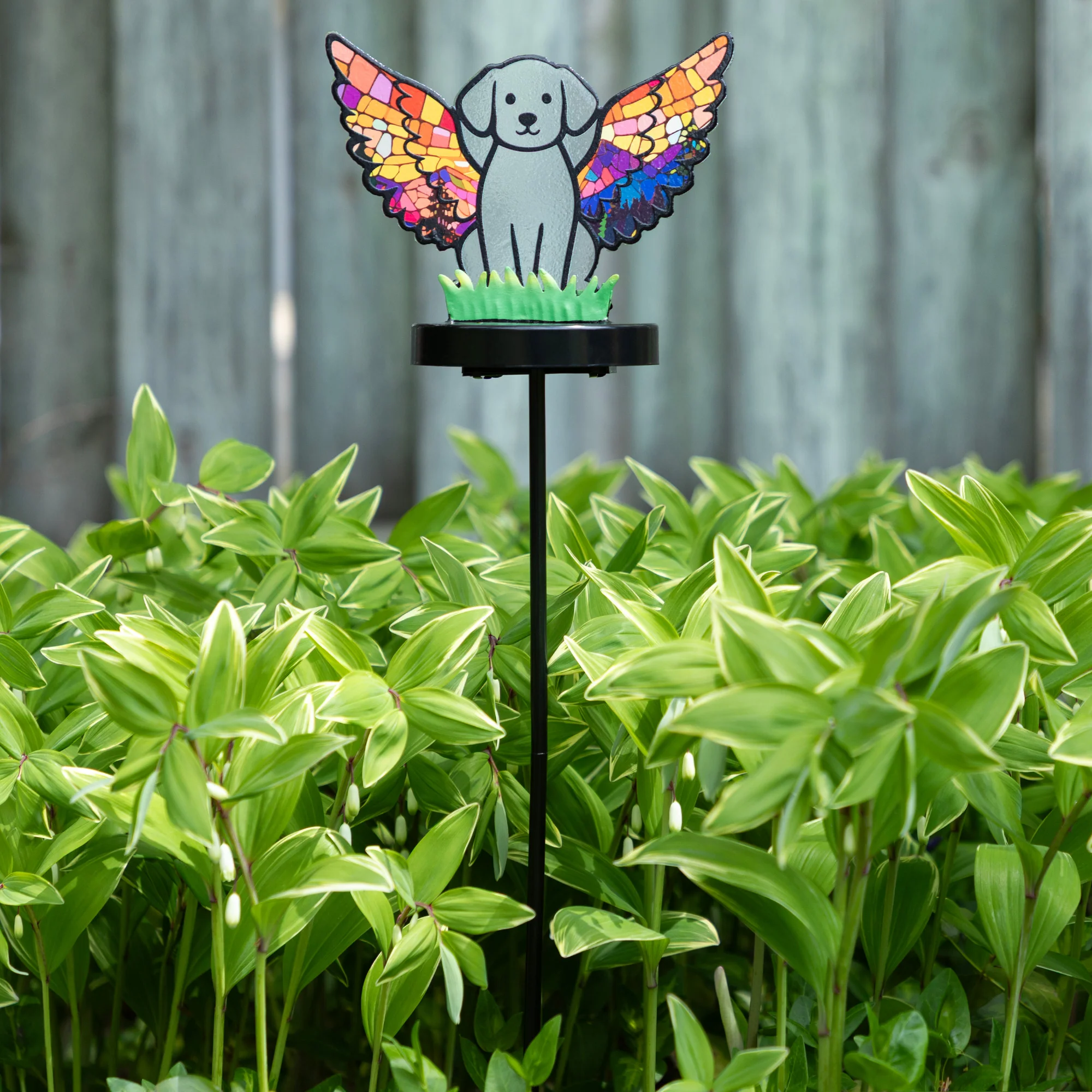 Product image 34